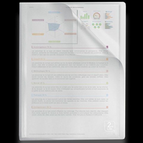 Album ofertowy Elba 2Life A4 40 kieszeni (400059343) Oxford