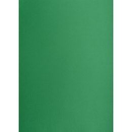 Brystol zielony ciemny B2 zielony 225g 25k Creatinio (400150339) Creatinio