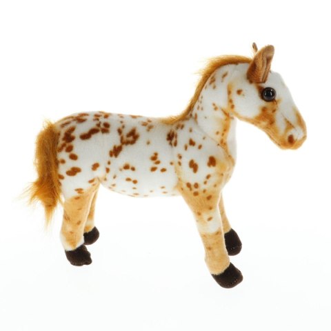 Pluszak koń średni Deef (57585) Deef