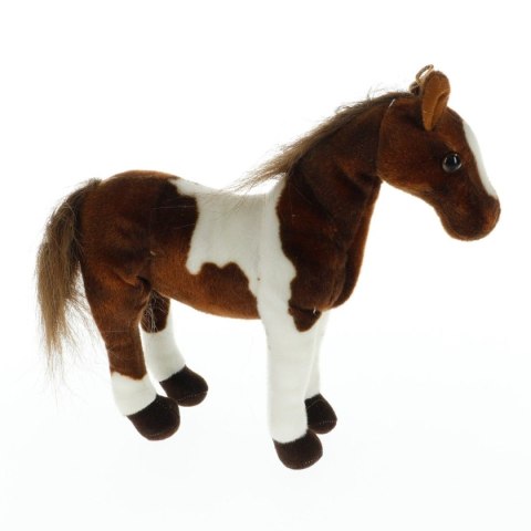 Pluszak koń średni Deef (57585) Deef