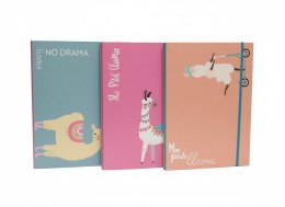 Teczka kartonowa na gumkę 2cm NO PROBllama A4 mix VauPe (322/96) VauPe