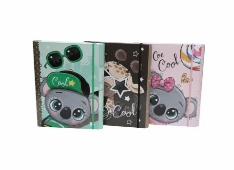 Teczka kartonowa na gumkę 4cm z gumką-BE COOL B4 mix VauPe (310/95) VauPe