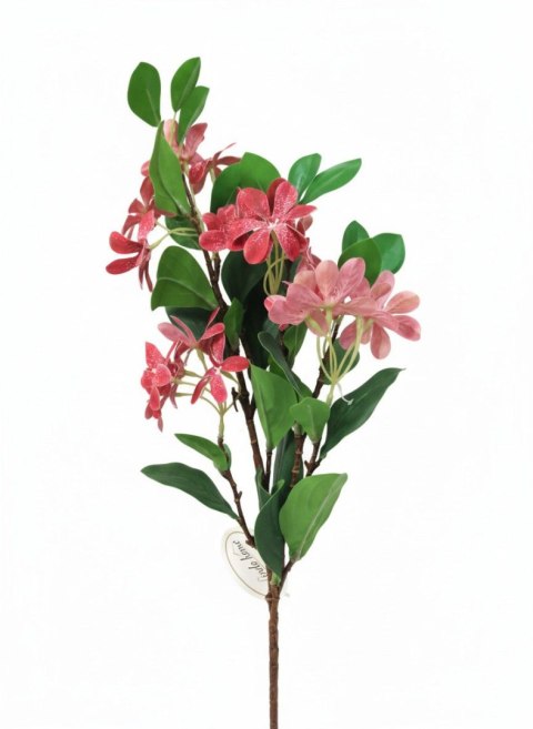 Kwiaty bukiet śniadek 70cm Home And Garden (1884) Home And Garden