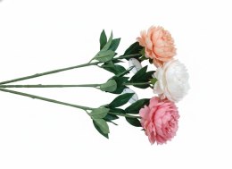 Kwiaty piwonia 68cm mix Home And Garden (2991) Home And Garden