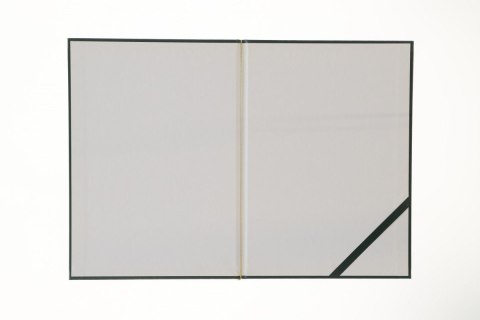 Okładka na dyplom zielona Argo Argo