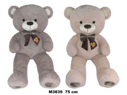 Pluszak miś 2 kolory Sun-Day (172686) Sun-Day