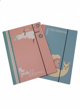 Teczka kartonowa na gumkę 1-NO PROBllama B4 mix VauPe (302/96) VauPe