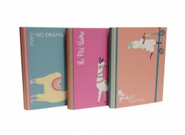 Teczka kartonowa na gumkę 4cm NO PROBllama B4 mix VauPe (310/96) VauPe