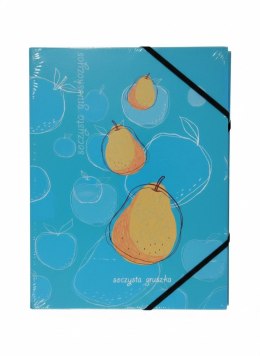 Teczka kartonowa na gumkę GRUSZKA A4 A4 mix Tetis (BT601-A1(96)) Tetis