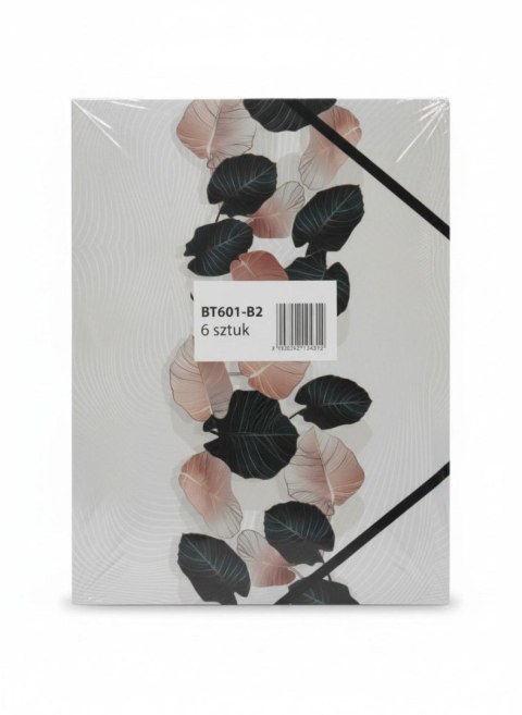 Teczka kartonowa na gumkę LIŚCIE A4 mix Tetis (BT601-B2(96)) Tetis