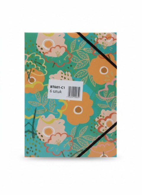 Teczka kartonowa na gumkę PASTELOWE KWIATY A4 mix Tetis (BT601-C1(96)) Tetis