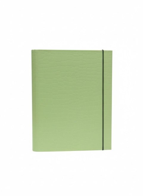 Teczka kartonowa na gumkę PasteLove z gumką B4 limonka VauPe (P/310/31) VauPe