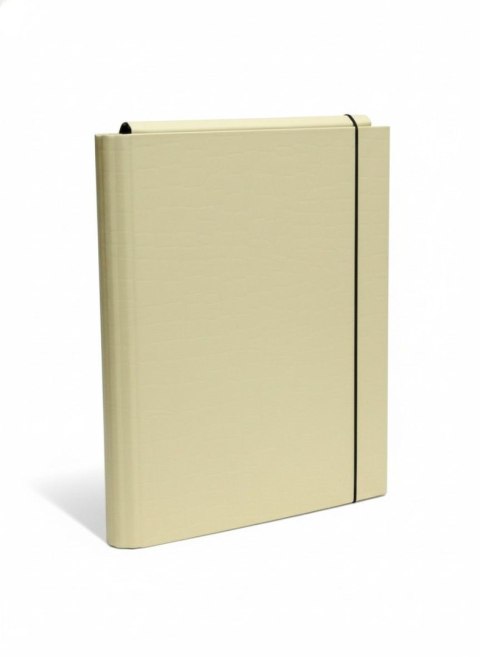 Teczka kartonowa na gumkę PasteLove z gumką B4 żółty VauPe (P/310/30) VauPe