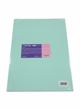 Teczka ofertowa A4 kolor: mix 20 kieszeni Berlingo (352608) Berlingo