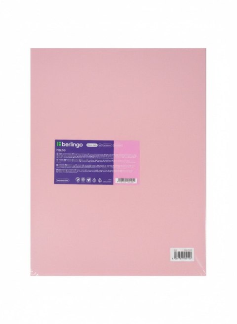Teczka ofertowa A4 kolor: mix 20 kieszeni Berlingo (352615) Berlingo