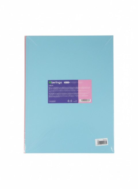 Teczka ofertowa A4 kolor: mix 30 kieszeni Berlingo (352602) Berlingo