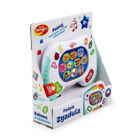 Zabawka edukacyjna padzik zgadula Discovery (DD55022) Discovery