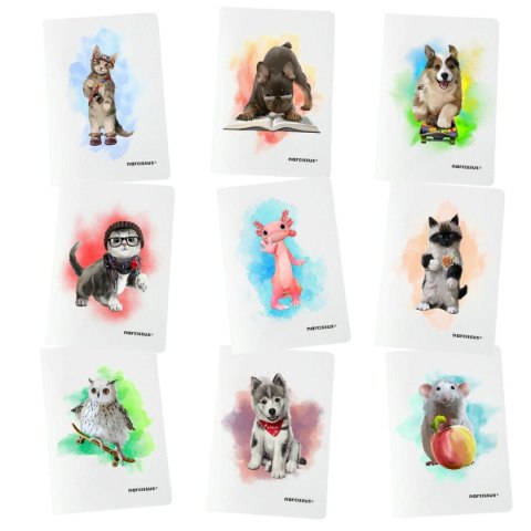 Zeszyt PP A5 32k. 80g KRATKA Narcissus Narcissus