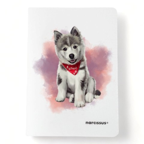 Zeszyt PP A5 32k. 80g KRATKA Narcissus Narcissus