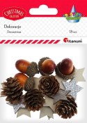 Zestaw dekoracyjny Craft-Fun Series szyszki, żołędzie, gwiazdki Titanum (23BR1204-61) Titanum
