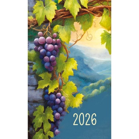 Kalendarz książkowy (terminarz) mini 87mm x 145mm Michalczyk i Prokop (01-08) Michalczyk i Prokop