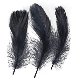 Piórka Craft-Fun Series czarne Titanum Titanum
