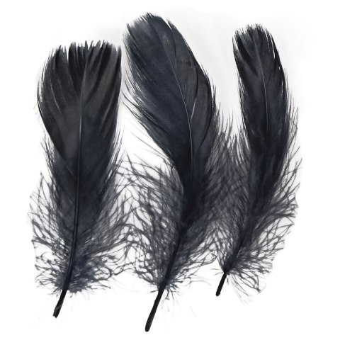 Piórka Craft-Fun Series czarne Titanum Titanum