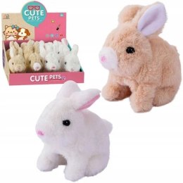 Pluszak interaktywny króliczek na baterie Bemag (65586) Bemag