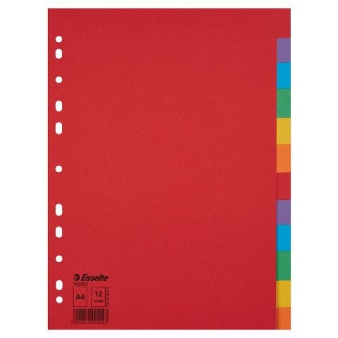 Przekładka czysta A4 mix kolorów 160g 12k Esselte (100202) Esselte