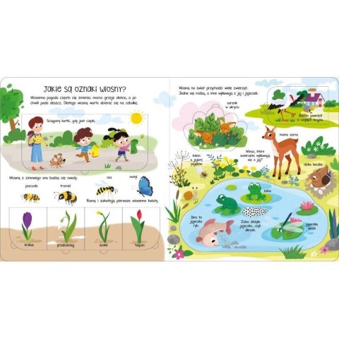 Książka dla dzieci Co i jak? Otwórz okienka! W przyrodzie Aksjomat Aksjomat