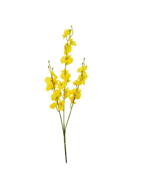 Kwiaty Gałązka storczyk mini Arpex (VW8747) Arpex