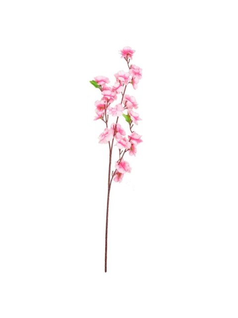 Kwiaty Kwiat brzoskwini Arpex (VC0560) Arpex