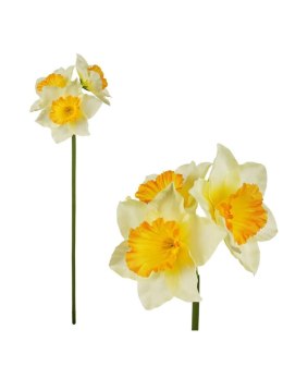 Kwiaty Żonkile - bukiecik Arpex (VW8433) Arpex