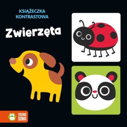 Książka dla dzieci Zwierzęta Zielona Sowa Zielona Sowa