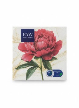 Serwetki Lunch mix bibuła [mm:] 330x330 Paw (SDL149700) Paw