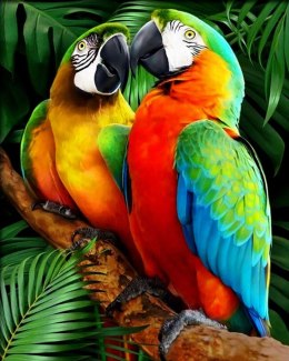 Zestaw kreatywny Malowanie po numerach 30x40cm Papugi Flamingo Line (FSY287) Flamingo Line