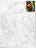 Zestaw kreatywny Malowanie po numerach 30x40cm Papugi Flamingo Line (FSY287) Flamingo Line