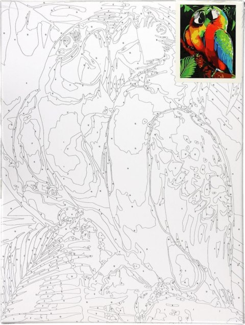Zestaw kreatywny Malowanie po numerach 30x40cm Papugi Flamingo Line (FSY287) Flamingo Line