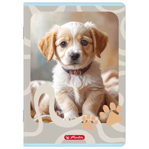 Zeszyt A5 Animals 32k. 70g linia Herlitz (400206383) Herlitz