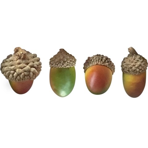 Dodatek Craft-Fun Series żołędzie Titanum (20610) Titanum