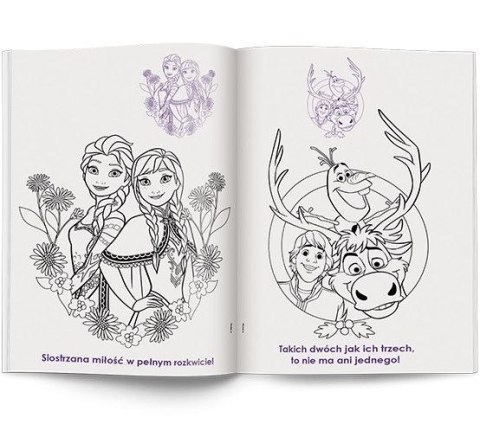 Książka dla dzieci Kraina Lodu Ameet (NA 9143) Ameet