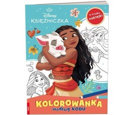 Książka dla dzieci Księżniczka Ameet (KKO 9109) Ameet