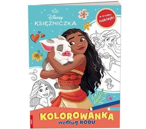 Książka dla dzieci Księżniczka Ameet (KKO 9109) Ameet