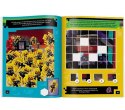 Książka dla dzieci LEGO® Minecraft® Ameet (MSF 5203) Ameet