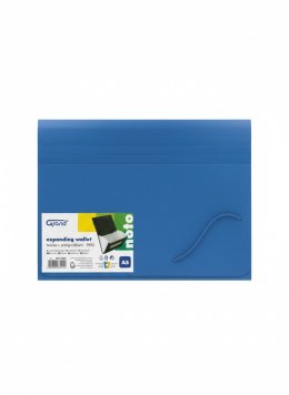 Teczka z przegródkami 9115C A5 kolor: niebieski 12 przegródek Grand (120-1992) Grand