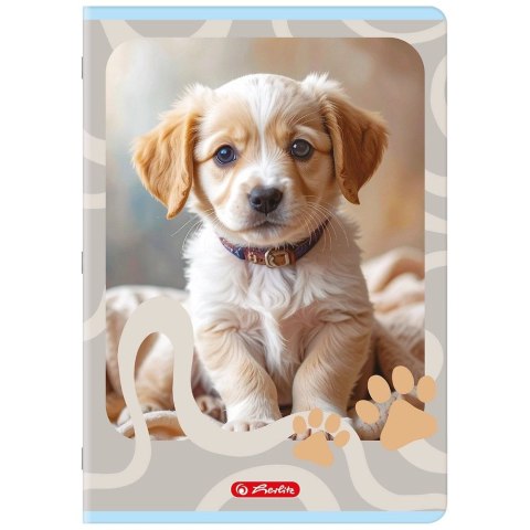 Zeszyt A4 ANIMALS 32k. 70g linia podwójna kolorowa Herlitz (400206431) Herlitz