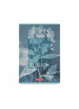 Zeszyt B5 Blossom 80k. 70g kratka Herlitz (400206169) Herlitz