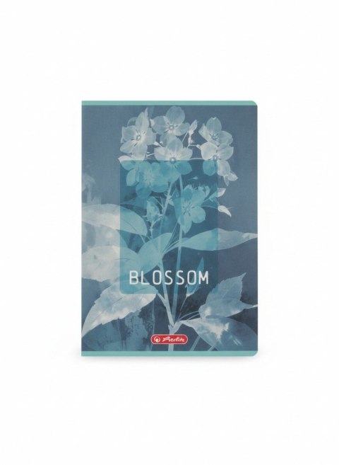 Zeszyt B5 Blossom 80k. 70g kratka Herlitz (400206169) Herlitz