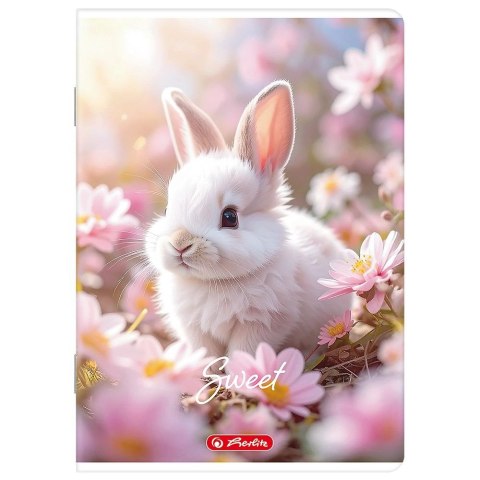 Zeszyt A5 mix 16k. 70g linia podwójna kolorowa Herlitz (400206335) Herlitz