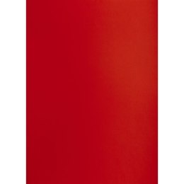 Brystol A1 ciemnoczerwony 160g 25k [mm:] 610x860 TOP-2000 (400149552) TOP-2000